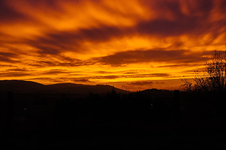 silueta, Hills, strom, zlatý, hodina, Fotografie, mraky