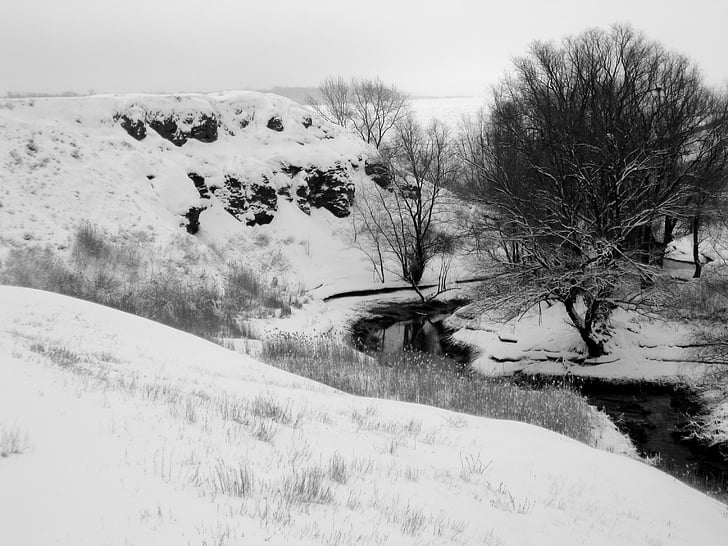 talvel, jõgi, lumi, maastik, loodus, külm, puud
