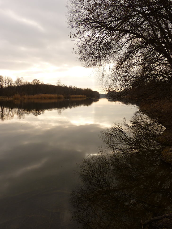 река, вода, банка, abendstimmung, Дунав, природата, дърво