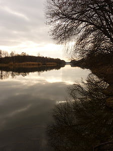 fiume, acqua, Banca, Abendstimmung, Danubio, natura, albero