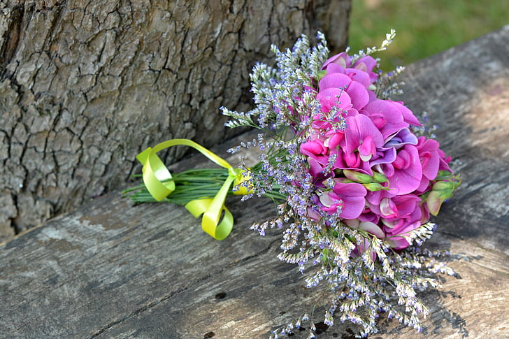 Groszek pachnący, bukiet, Lathyrus odoratus, mały pęczek, różowy, kwiaty, Natura