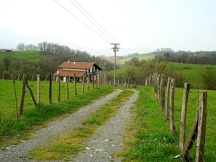 poljski put, zemljana cesta, priroda, šuma, kuća, Naslovnica, trava