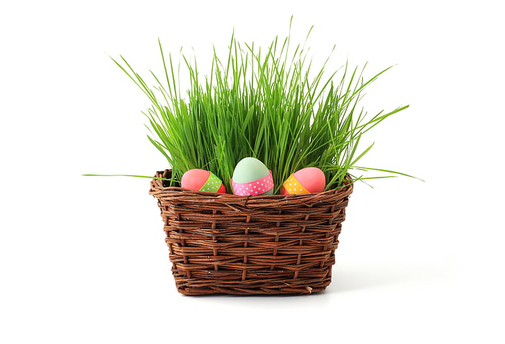 кошница, цветни, цветни, Великден, яйца, трева