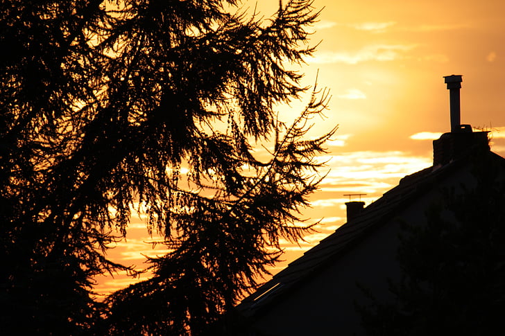 Recklinghausen, Abendstimmung, Słońce, dachu, drzewo, pomarańczowy, zachód słońca