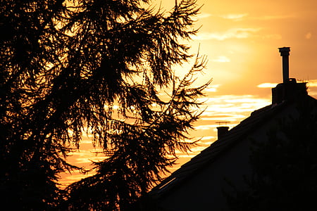 Recklinghausen, abendstimmung, sol, telhado, árvore, laranja, pôr do sol