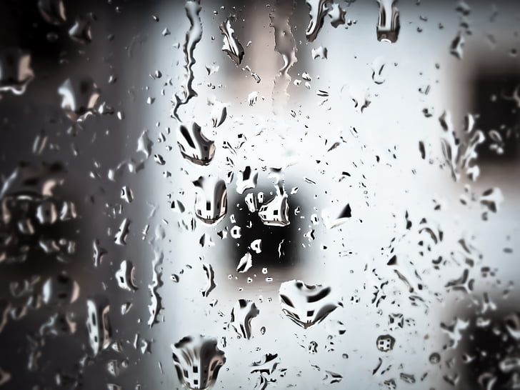 pluie, goutte de pluie, goutte d’eau, macro, perlé, disque, fenêtre de