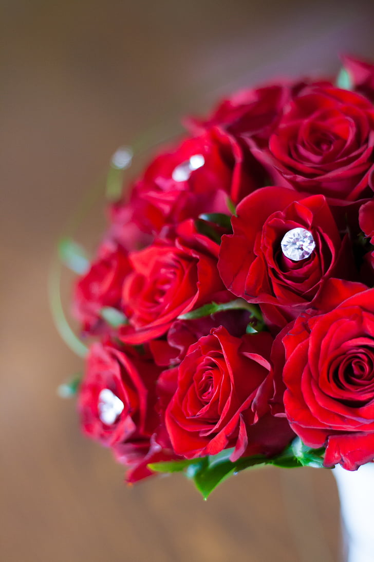 rouge, roses, Bridal, bouquet, fleurs, zircon, fleur