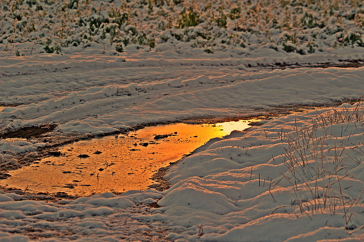 winter, snow, afterglow, wintry, ice, puddle, frozen