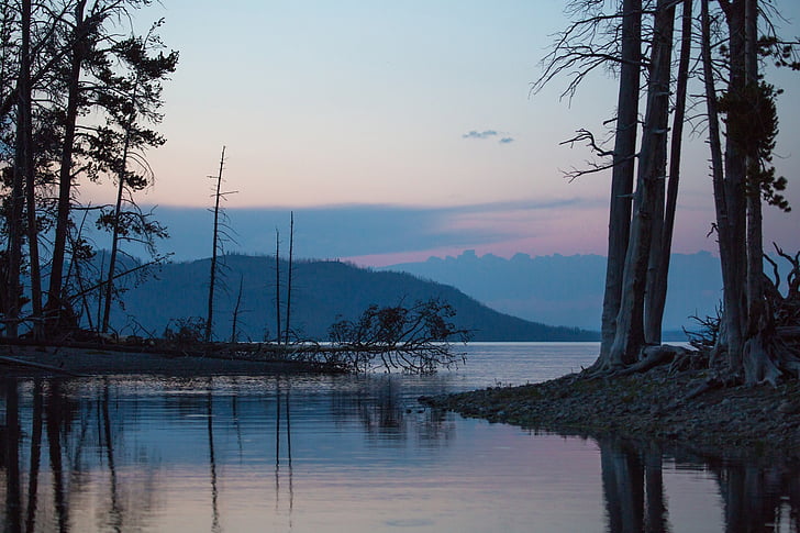 Yellowstone lake, vann, nasjonalpark, trær, villmark, refleksjon, stille