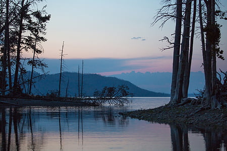 Yellowstone Gölü, su, Milli Parkı, ağaçlar, vahşi hayat, yansıma, sessiz