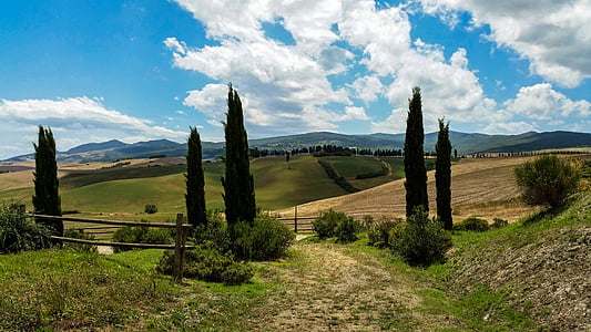italy, tuscany, lajatico, cypress, landscape, clouds, sky