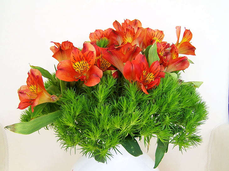 букет цветя, SIA, червено цвете