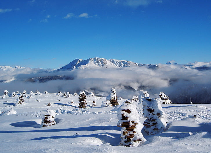 stoanerne mandln, l'hivern, neu, cobert de neu, natura, paisatge, Meltina