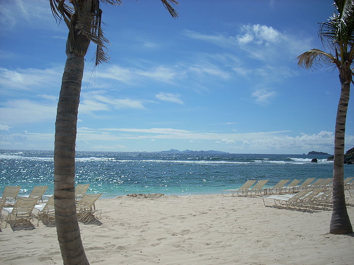 st maarten, beach, palm trees, ocean, lounge chairs, vacation, sand