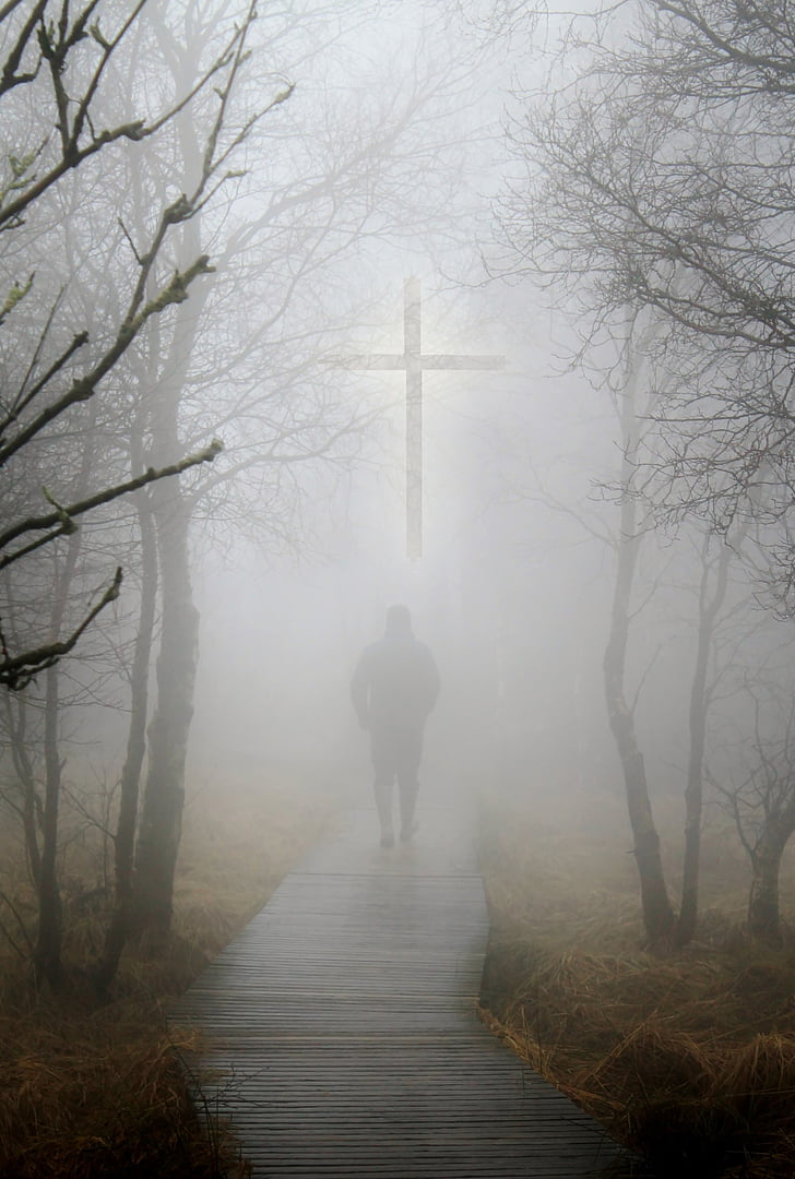 mourning, fog, condolences, autumn forest, mood, cross, background