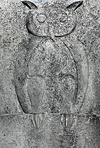 relief, eagle owl, owl, wisdom, bird, animal