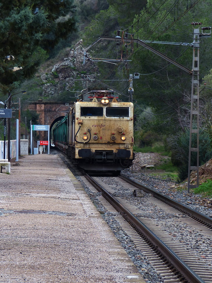 tåg, via, Station, lokomotiv, varor