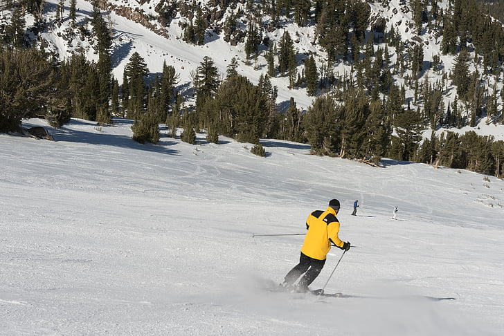 สกี, เล่นสกี, ดาวน์ฮิลล์, หิมะ, เรียกใช้, ฤดูหนาว, เย็น