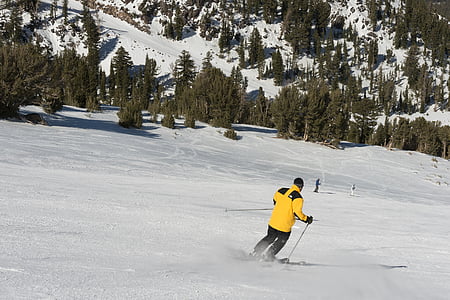 esquí, esquiadors, descens, neu, executar, l'hivern, fred