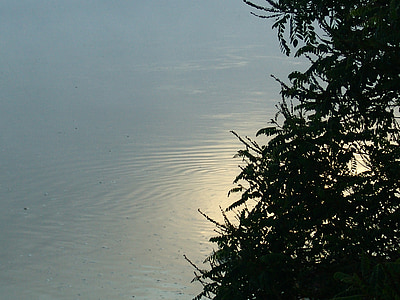 amanhecer, Ilha, Rio Drava, natureza, pesca
