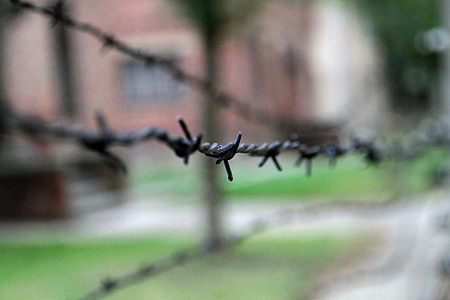 Auschwitz, Lengyelország, háború, tábor, emlékmű, kerítés, második világháború