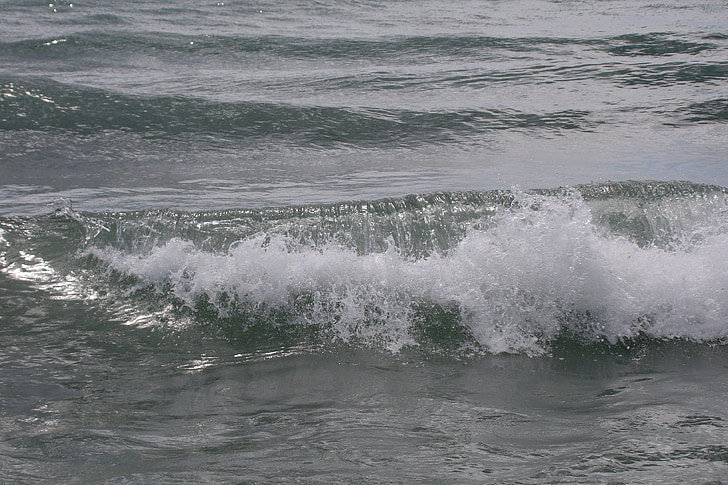bølger, utmerket, vind, salt