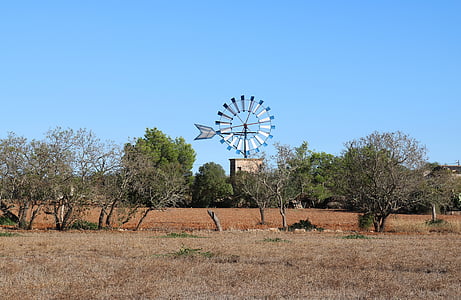 Mallorca, Windmill, gamla kvarnen, Windräder, traditionellt, jordbruk, Mill
