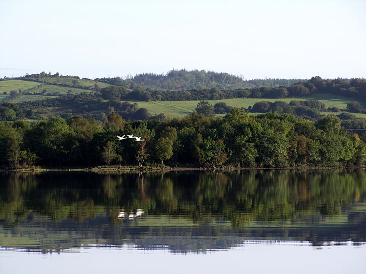 Irsko, jezero, volně žijící zvířata, ptáci, obloha, zelená, cestování
