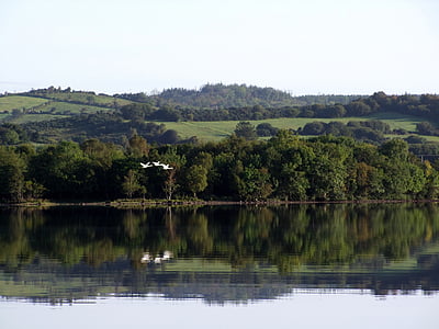Ирландия, езеро, дива природа, птици, небе, Грийн, пътуване