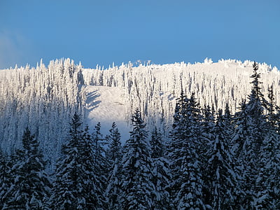Sun peaks, Ski hill, khu nghỉ mát, mùa đông, Trượt tuyết, ngoài trời, hoạt động