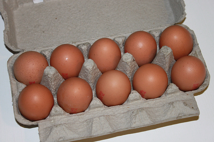 кафяв, картонени кутии, яйца, кокошки, хартия, бяло, храна