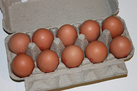 smeđa, kutija, jaja, kokoši, papir, bijeli, hrana