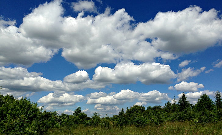 olkusz, poland, meadow, landscape, clouds, sky