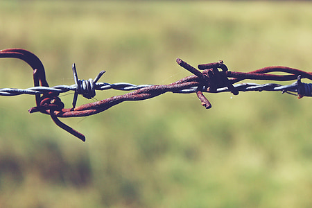 barbed wire, fence, metal, wire, thorn, limit, wiring