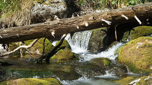 Creek, vann, Tatry, natur, elven, fjell, foss