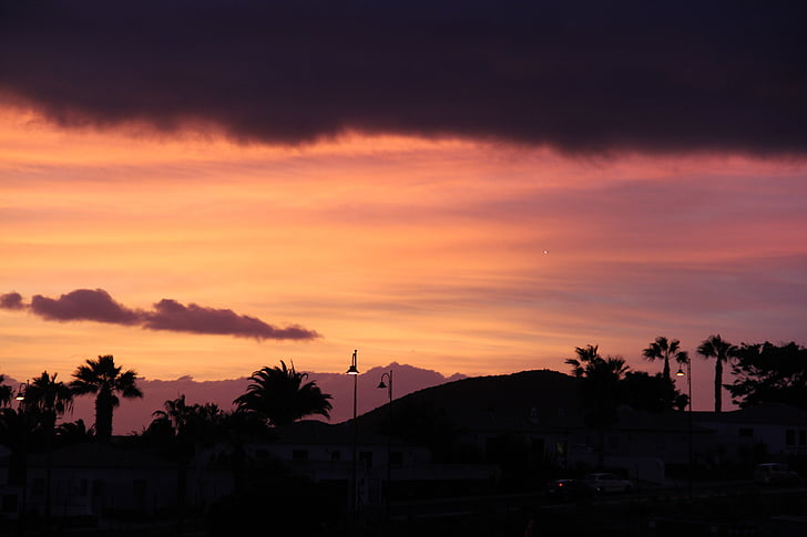 sunset, sky, palm trees, lights, violet