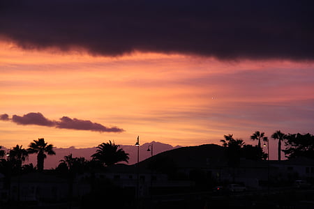 solnedgång, Sky, palmer, lampor, Violet