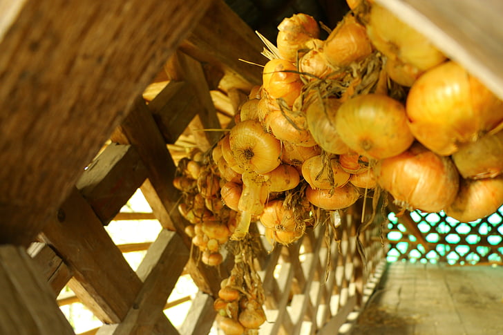 onion, hanging, hayrack, drying, autumn