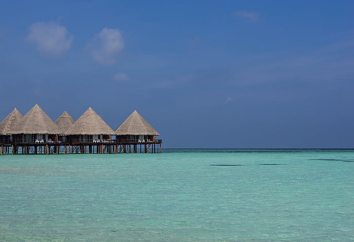 Maldiverna, Ari-atollen, havet, Bungalow, paradis, stranden, sommar