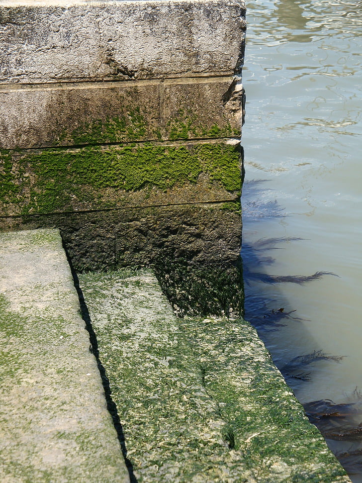 l'aigua, pedra, escales, Itàlia, molsa, verd, escala de l'aigua