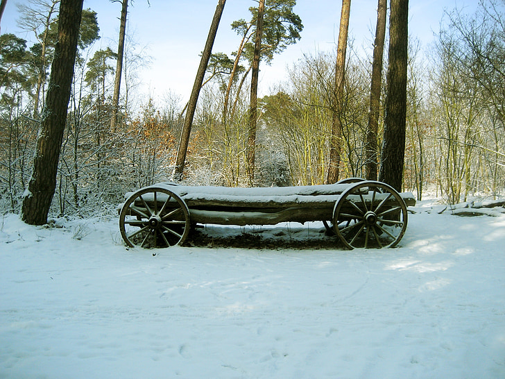 puinen auto, luminen, puiden rungoilla, pinottu, lumi, talvi, puu