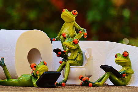 βάτραχος, Τουαλέτα, Loo, περίοδος λειτουργίας, Αστείο, χαρτί τουαλέτας, WC