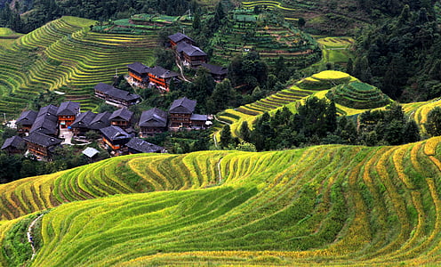 poble, Àsia, paisatge, terrassa, cases, l'antiga casa, el paisatge