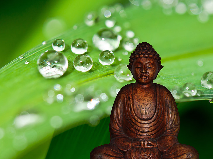Buda, meditació, figura, resta, budisme, deïtat, espiritual
