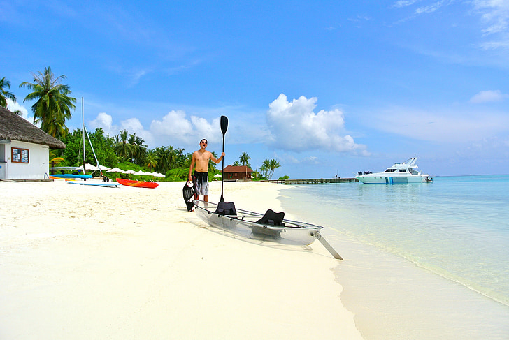Maldivi, kokosovo drevo, morje, Resort, poletje, počitnice, nebo