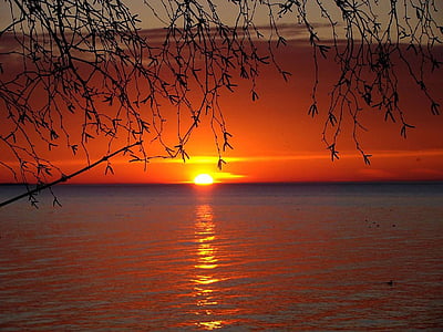 Sunset, Lake, vesi, Sun, puu, ankka, valo