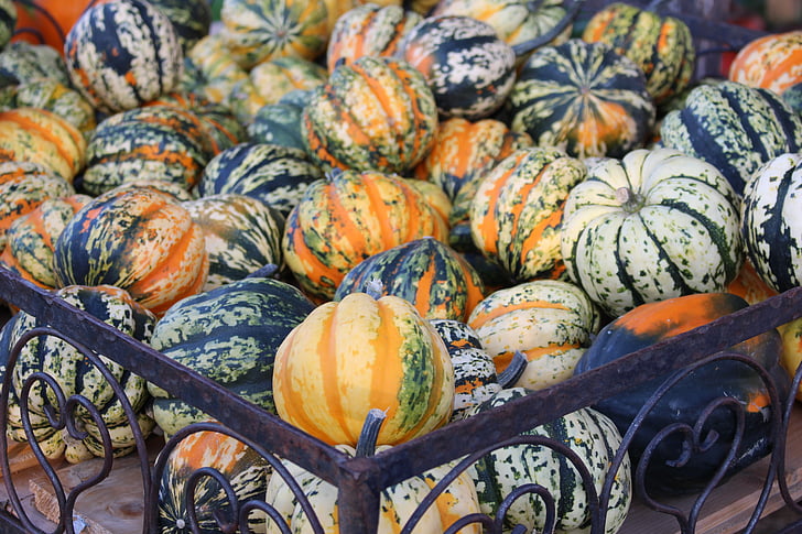 pumpkin, autumn, decorative squashes, vegetables