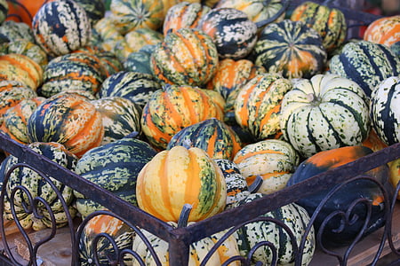 pumpa, hösten, dekorativa squash, grönsaker