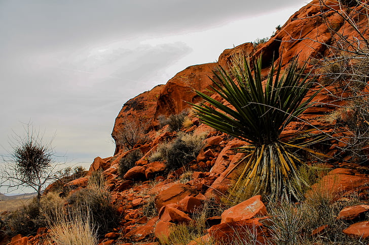 Utah, červené skaly, červená, národné, Park, USA, Desert