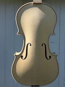 цигулка, бяло, класически, инструмент, музика, цигулка, музикални